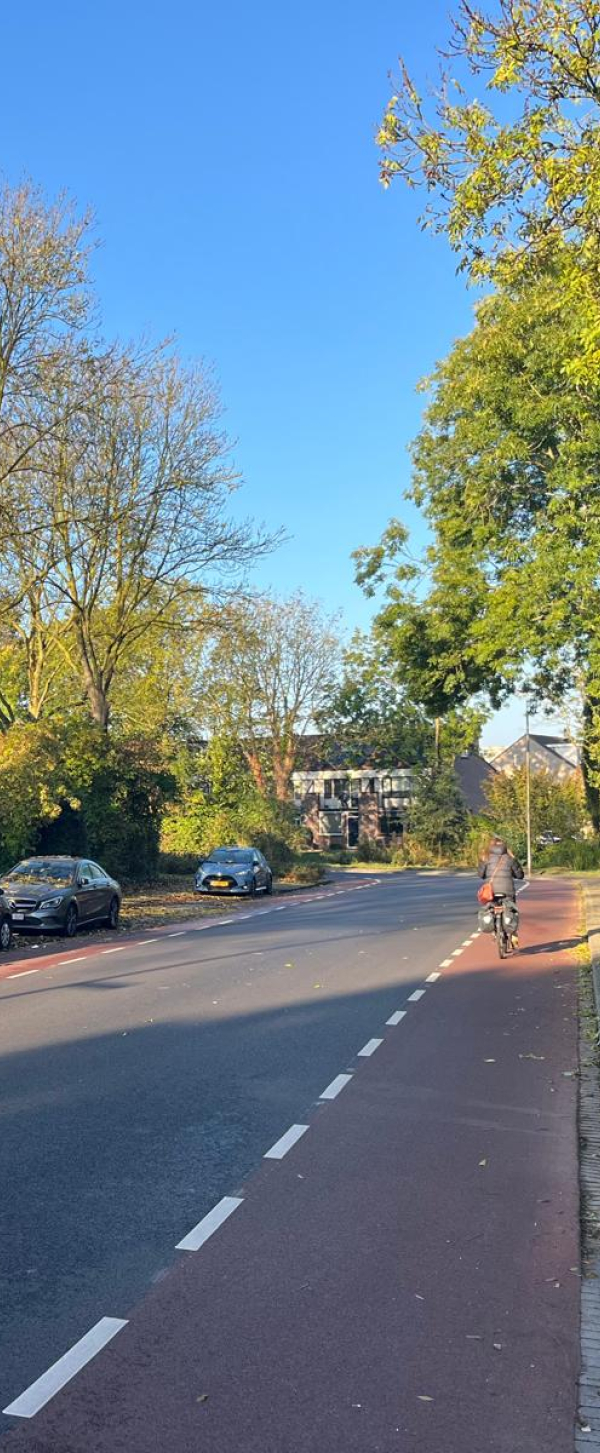 Nieuw aangelegde weg 