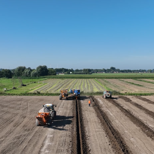 Peilgestuurde drainage landbouw 