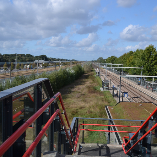 A16 Fredo Mathijs Visscher (37).JPG