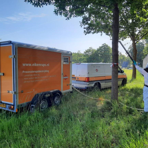 Bestrijden eikenprocessierups2.jpg