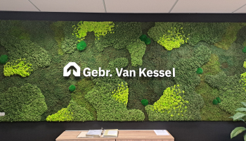 Groene achterwand