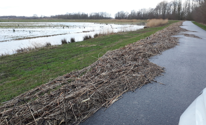 Noordwaard opruimen (15).jpg