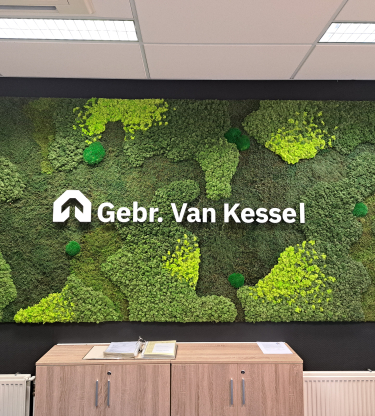 Groene achterwand