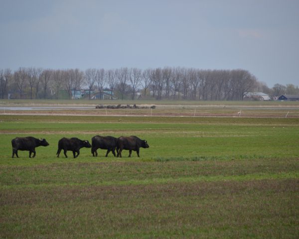 DSC_0032.JPG