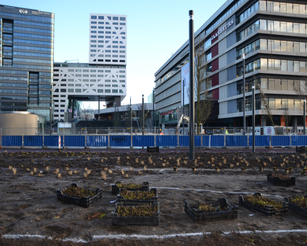 Jaarbeursplein (2).JPG