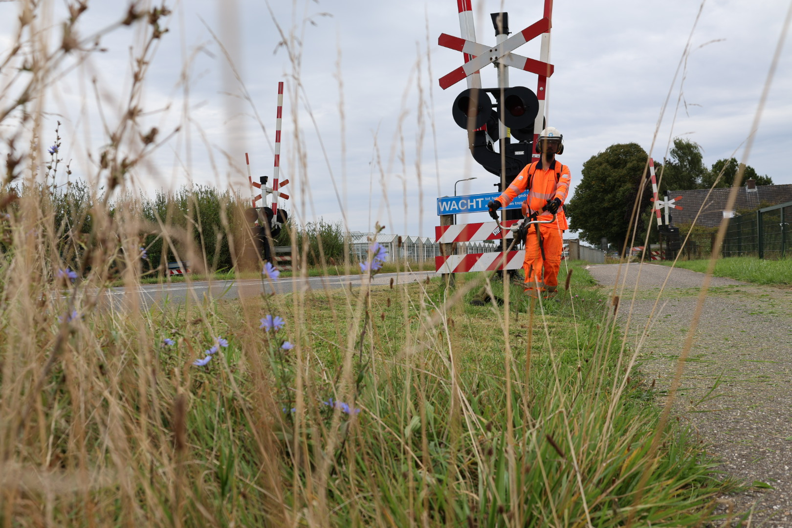 Maaien in berm